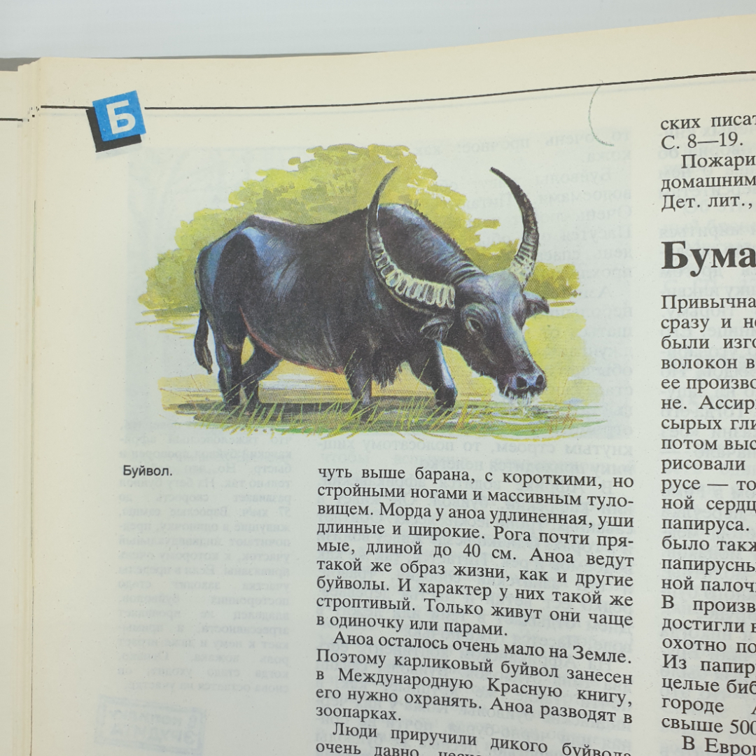 Книга "Что такое? Кто такой? Том 1", издательство Педагогика, Москва, 1990г.. Картинка 20