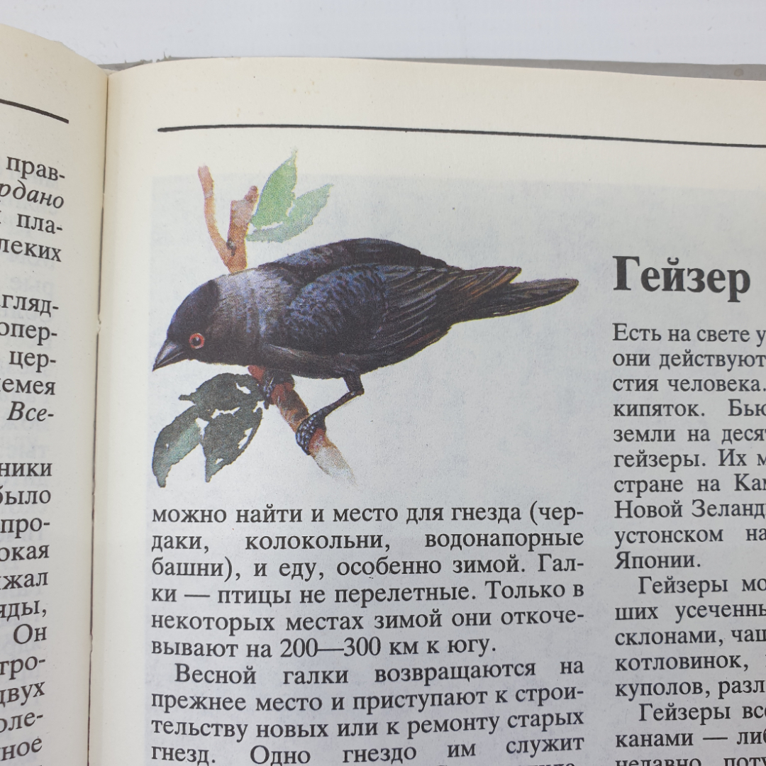 Книга "Что такое? Кто такой? Том 1", издательство Педагогика, Москва, 1990г.. Картинка 23