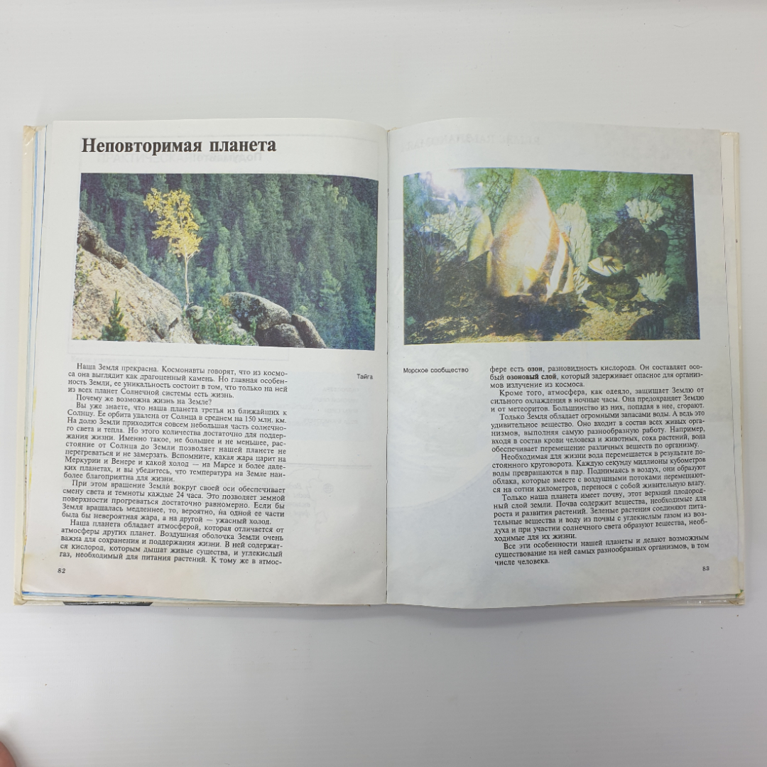 А.А. Плешаков, Н.И. Сонин "Природоведение 5 класс", Дрофа, 1995г.. Картинка 14