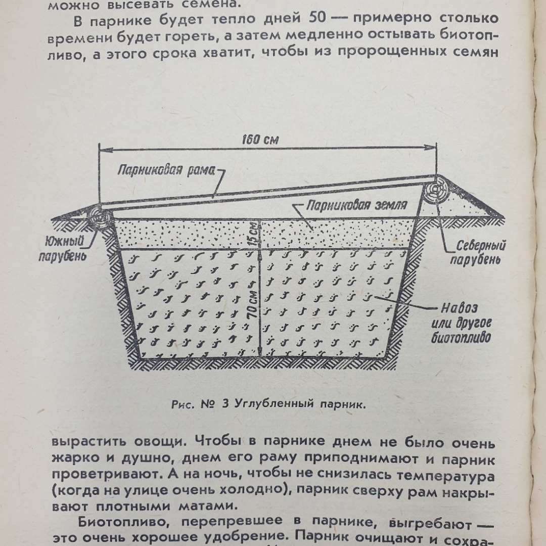 Т.И. Сергеева "Ваш сад", Тула, 1990г.. Картинка 11