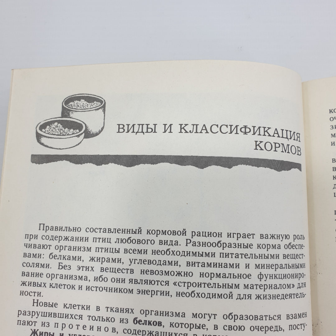 В.Б. Шнейдер, В.А. Гринев "Птицы в доме", Росагропромиздат, 1991г.. Картинка 7