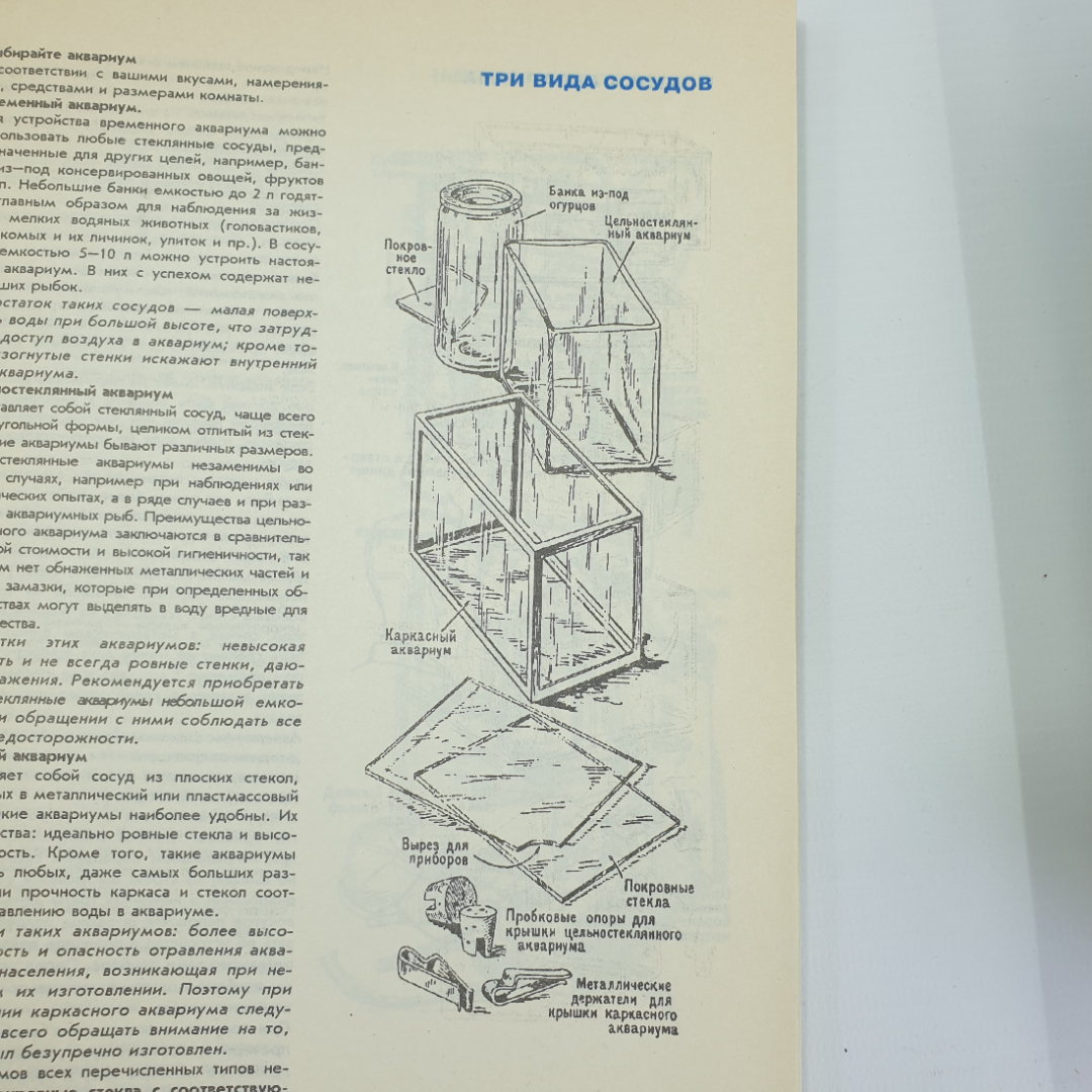 Г. Фрей "Твой аквариум", Санкт-Петербург, 1992г.. Картинка 8