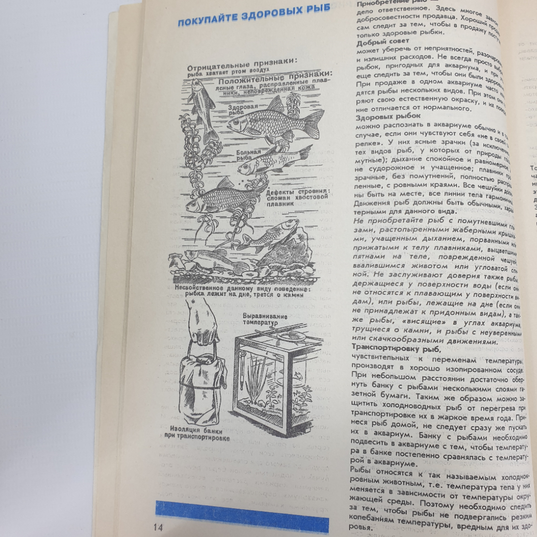 Г. Фрей "Твой аквариум", Санкт-Петербург, 1992г.. Картинка 13