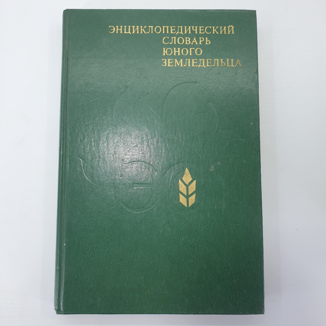 К.А. Иванович, "Энциклопедический словарь юного земледельца", издательство Педагогика, 1983г.. Картинка 1