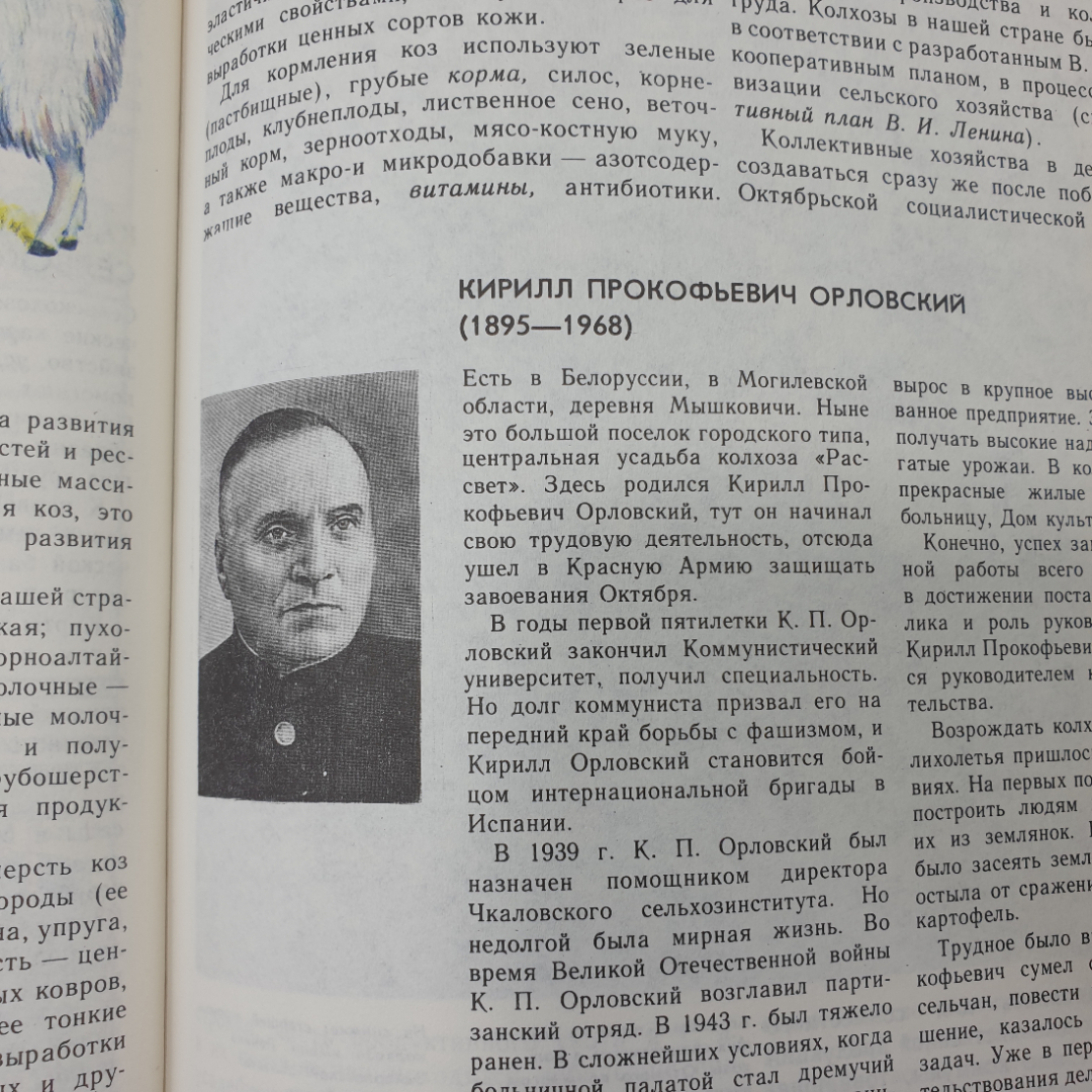 К.А. Иванович, "Энциклопедический словарь юного земледельца", издательство Педагогика, 1983г.. Картинка 14