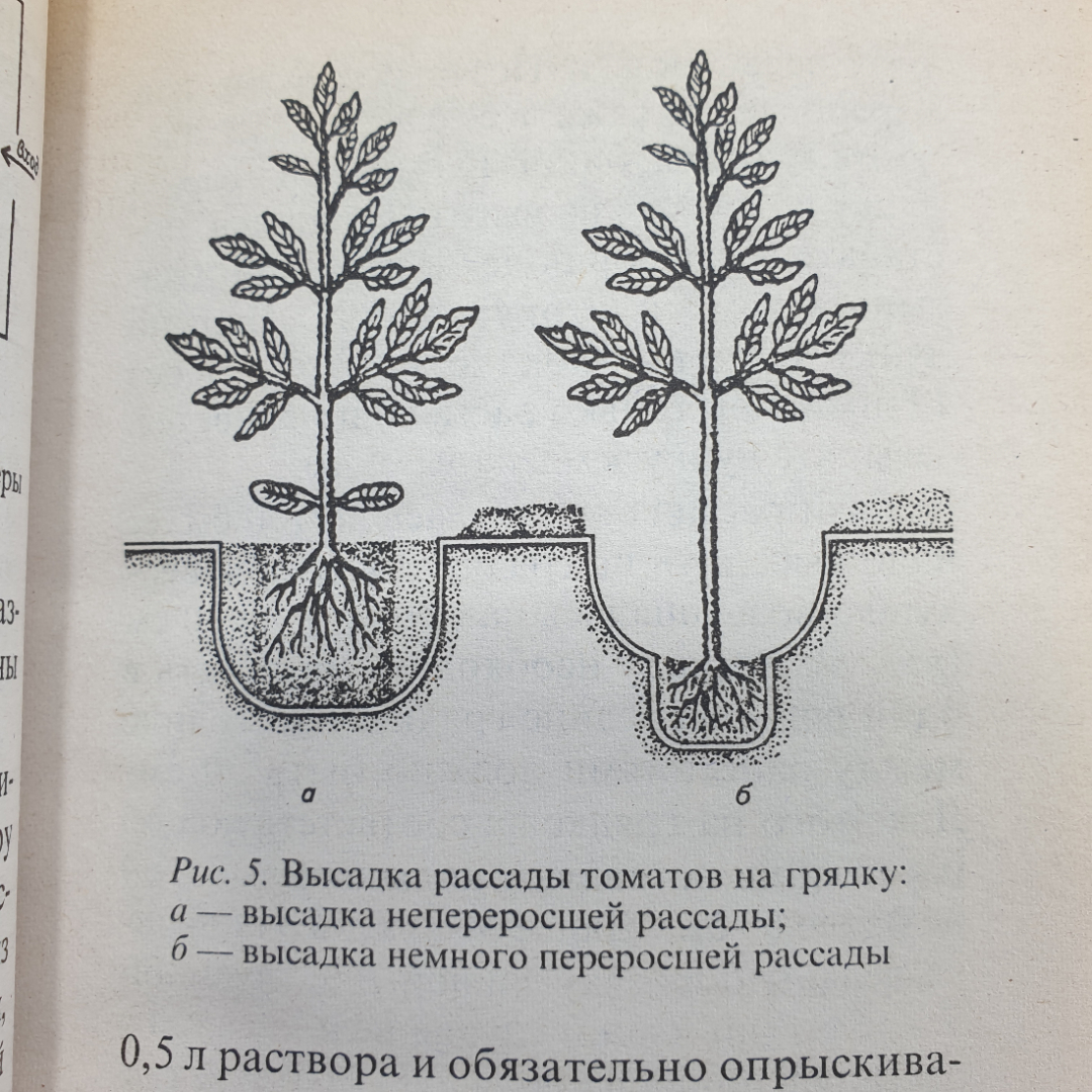 Октябрина и Александр Ганичкины "Советы огородникам", Москва, Оникс, 2010г.. Картинка 9