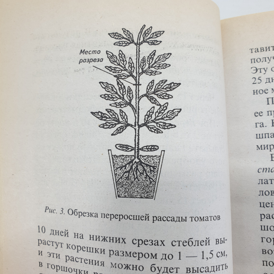 Октябрина и Александр Ганичкины "Советы огородникам", Москва, Оникс, 2010г.. Картинка 11