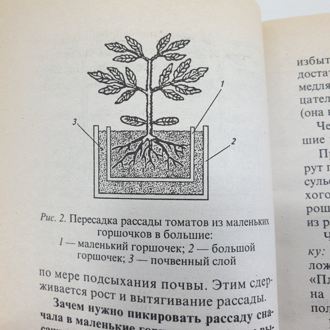 Октябрина и Александр Ганичкины "Советы огородникам", Москва, Оникс, 2010г.. Картинка 12