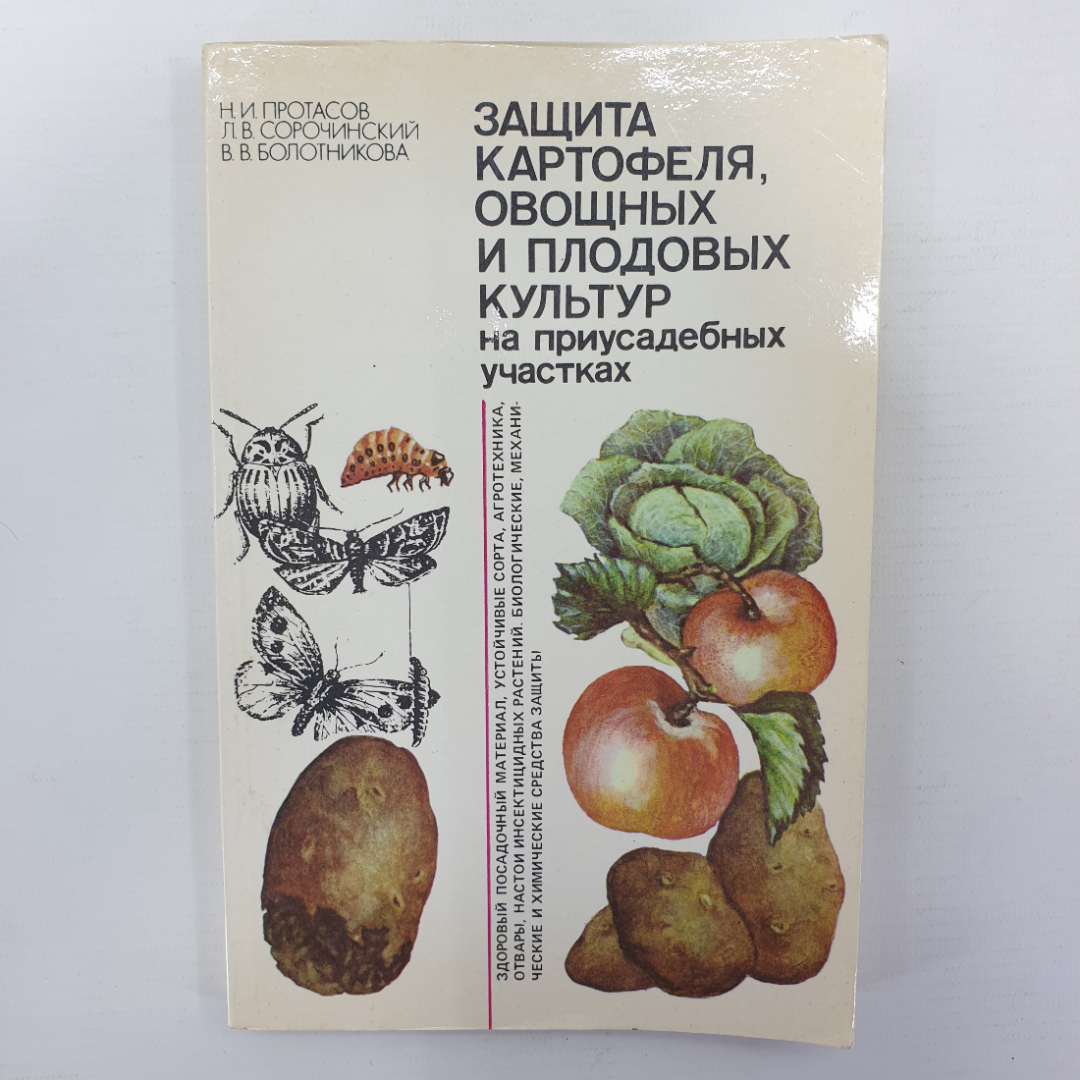 Что с чем растёт? Совместимость растений на грядке