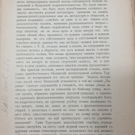 А.К. Бороздин "Литературные характеристики XIX век. Том II. Выпуск II", Санкт-Петербург, 1907г.. Картинка 9