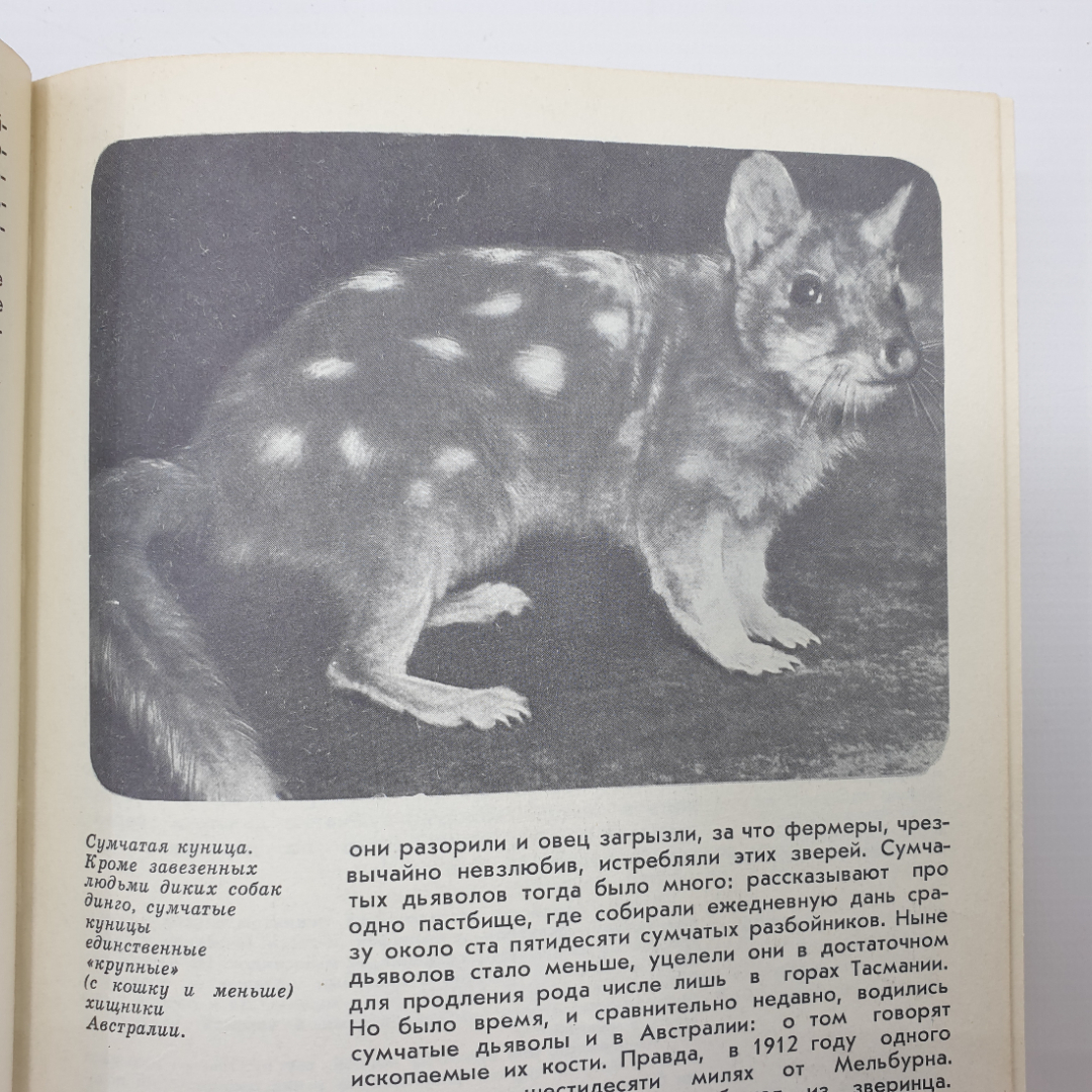 И. Акимушкин "Мир животных", издательство Молодая гвардия, 1971г.. Картинка 8