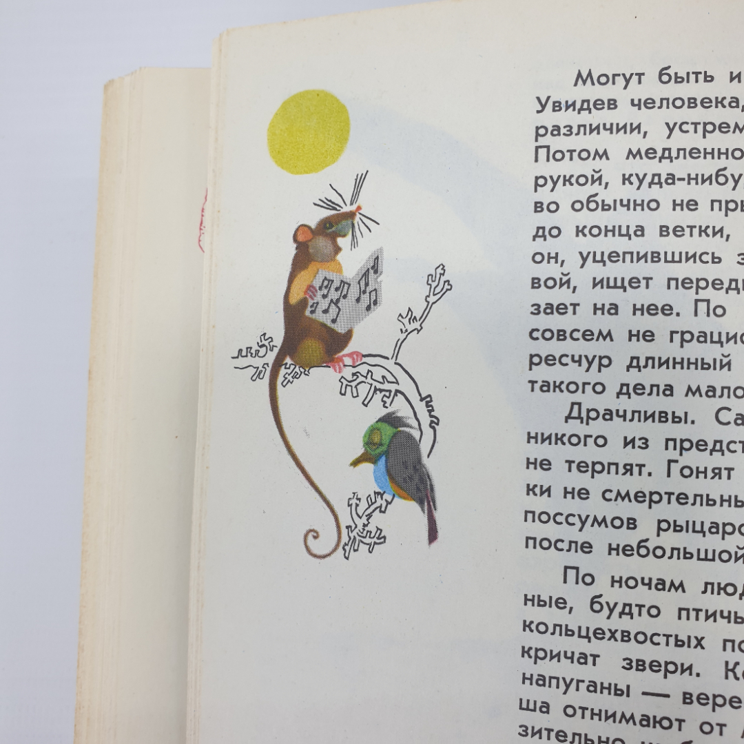 И. Акимушкин "Мир животных", издательство Молодая гвардия, 1971г.. Картинка 13