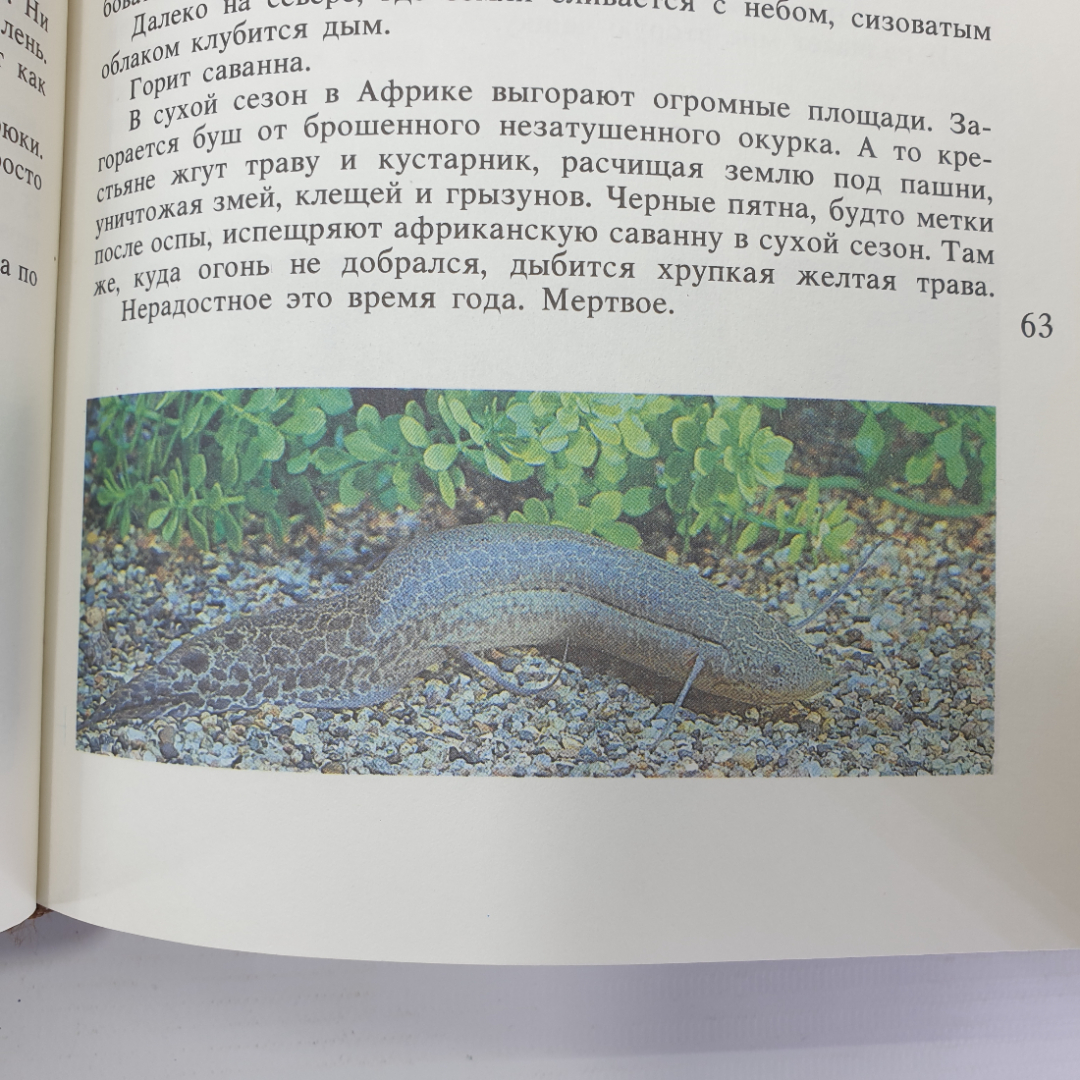 В. Рыбин "Приметы медного пояса", издательство Детская литература, 1987г.. Картинка 11