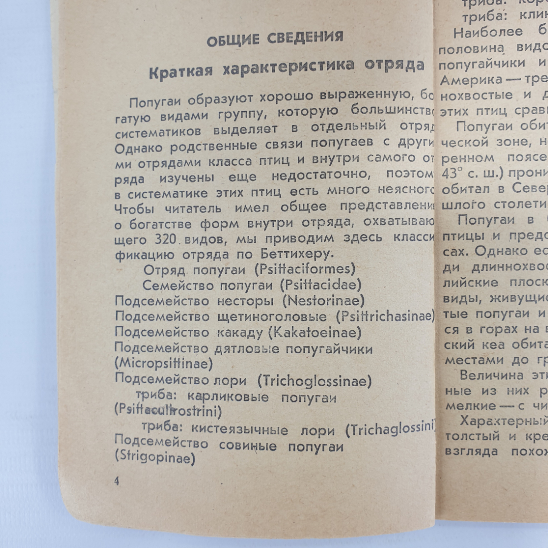 А.И. Рахманов "Попугаи", Лесная промышленность, Москва, 1975г.. Картинка 6