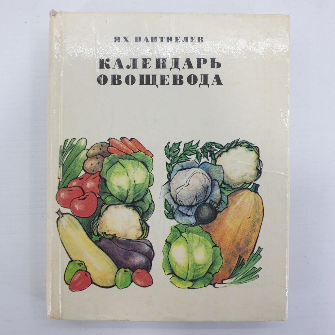 Я.Х. Пантиелев "Календарь овощевода", Россельхозиздат, 1981г.. Картинка 1