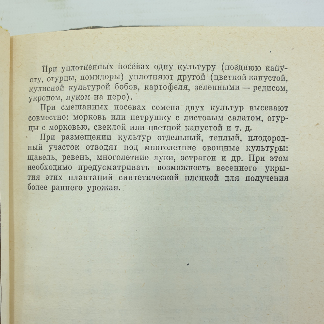 Я.Х. Пантиелев "Календарь овощевода", Россельхозиздат, 1981г.. Картинка 11