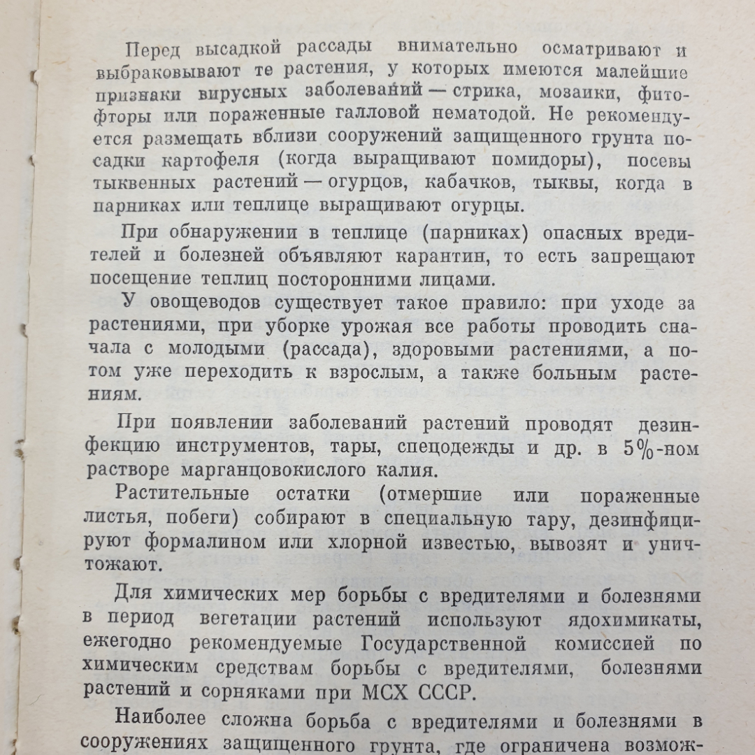 Я.Х. Пантиелев "Календарь овощевода", Россельхозиздат, 1981г.. Картинка 13