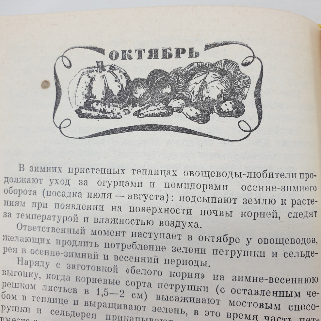 Я.Х. Пантиелев "Календарь овощевода", Россельхозиздат, 1981г.. Картинка 14