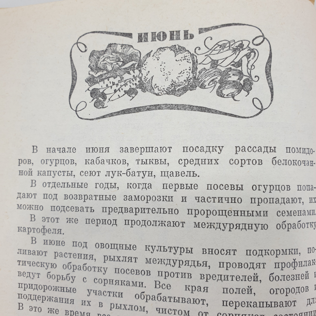 Я.Х. Пантиелев "Календарь овощевода", Россельхозиздат, 1981г.. Картинка 15