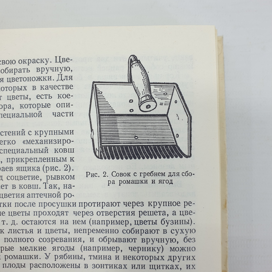 А.Ф. Гаммерман, Г.Н. Кадаев, М.Д. Шупинская, А.А. Яценко-Хмелевский "Лекарственные растения", 1975г.. Картинка 5