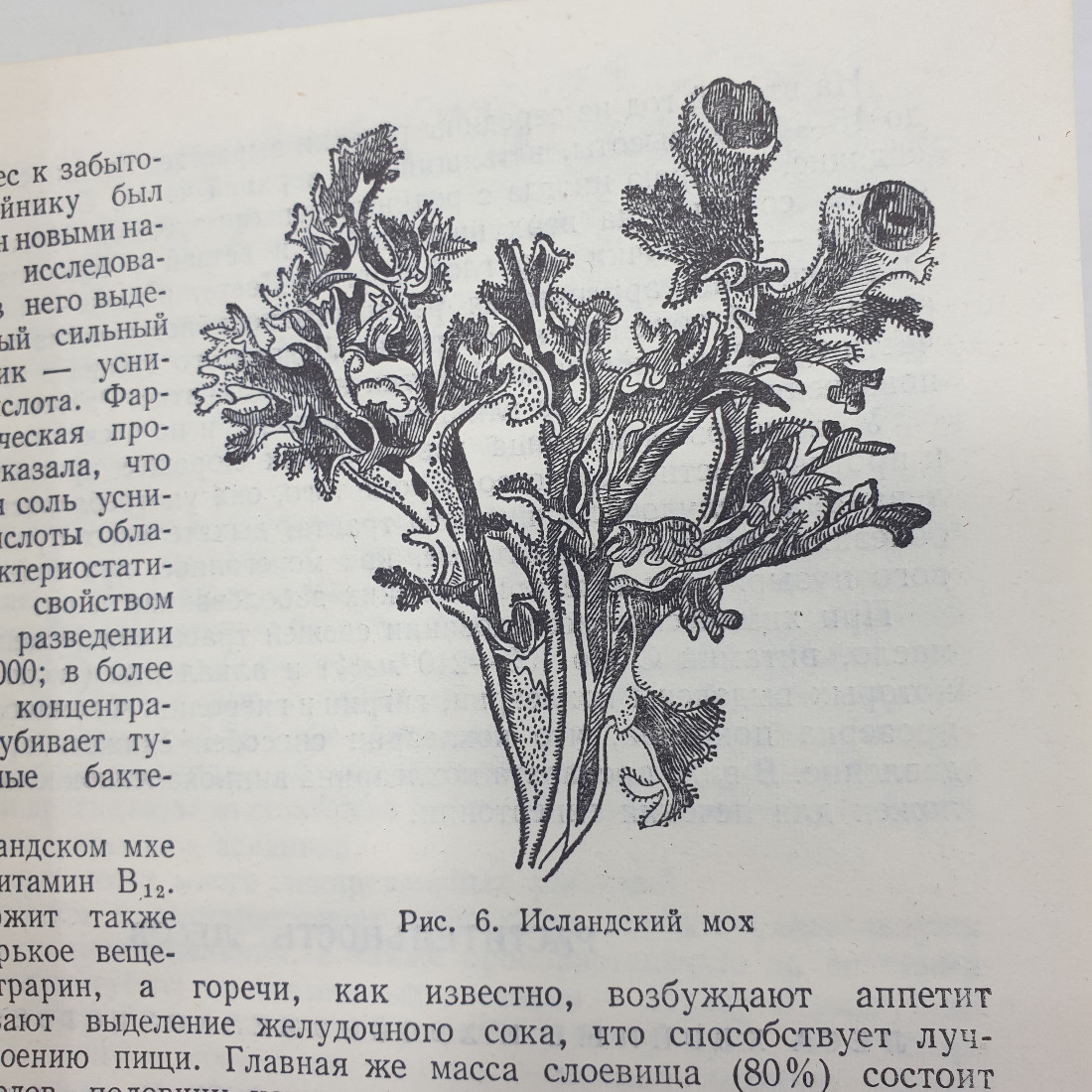 А.Ф. Гаммерман, Г.Н. Кадаев, М.Д. Шупинская, А.А. Яценко-Хмелевский "Лекарственные растения", 1975г.. Картинка 6