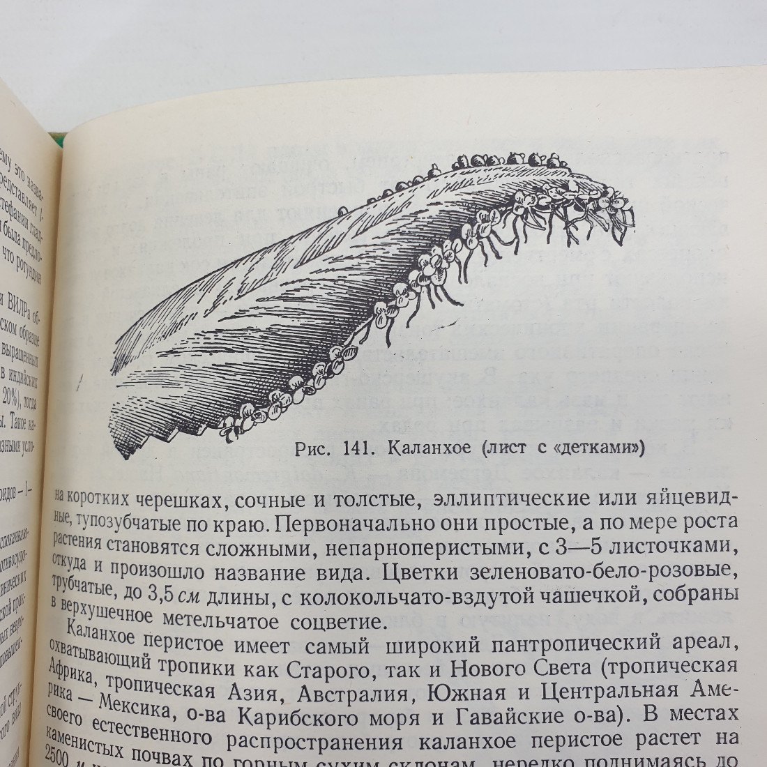 А.Ф. Гаммерман, Г.Н. Кадаев, М.Д. Шупинская, А.А. Яценко-Хмелевский "Лекарственные растения", 1975г.. Картинка 8