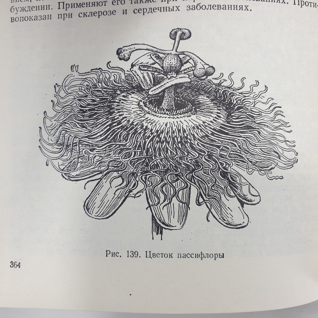 А.Ф. Гаммерман, Г.Н. Кадаев, М.Д. Шупинская, А.А. Яценко-Хмелевский "Лекарственные растения", 1975г.. Картинка 9