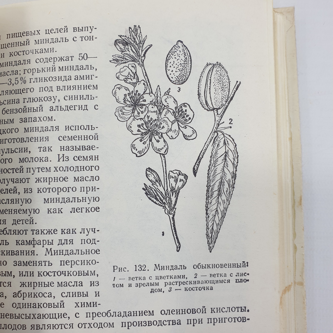 А.Ф. Гаммерман, Г.Н. Кадаев, М.Д. Шупинская, А.А. Яценко-Хмелевский "Лекарственные растения", 1975г.. Картинка 11