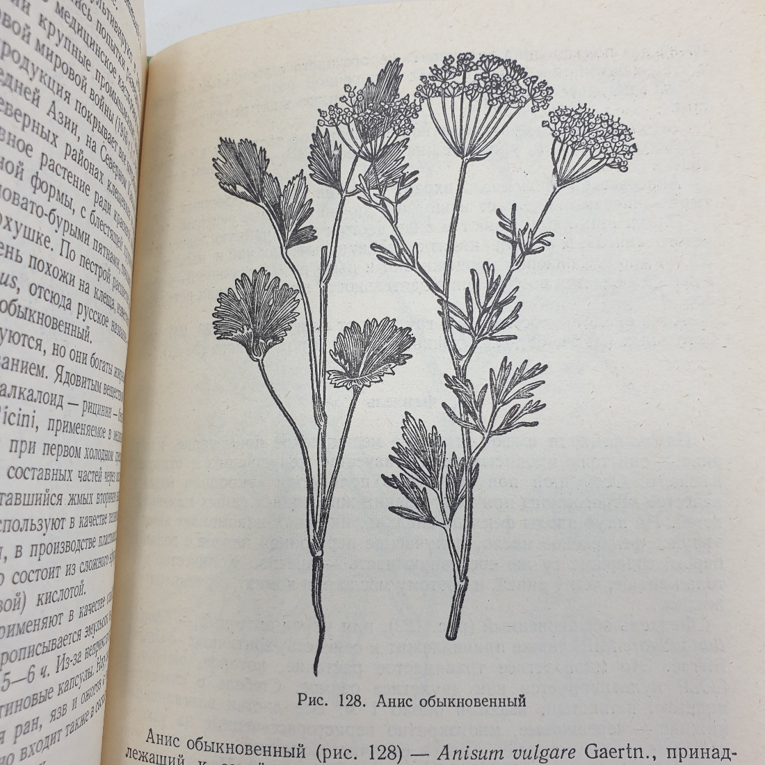 А.Ф. Гаммерман, Г.Н. Кадаев, М.Д. Шупинская, А.А. Яценко-Хмелевский "Лекарственные растения", 1975г.. Картинка 12