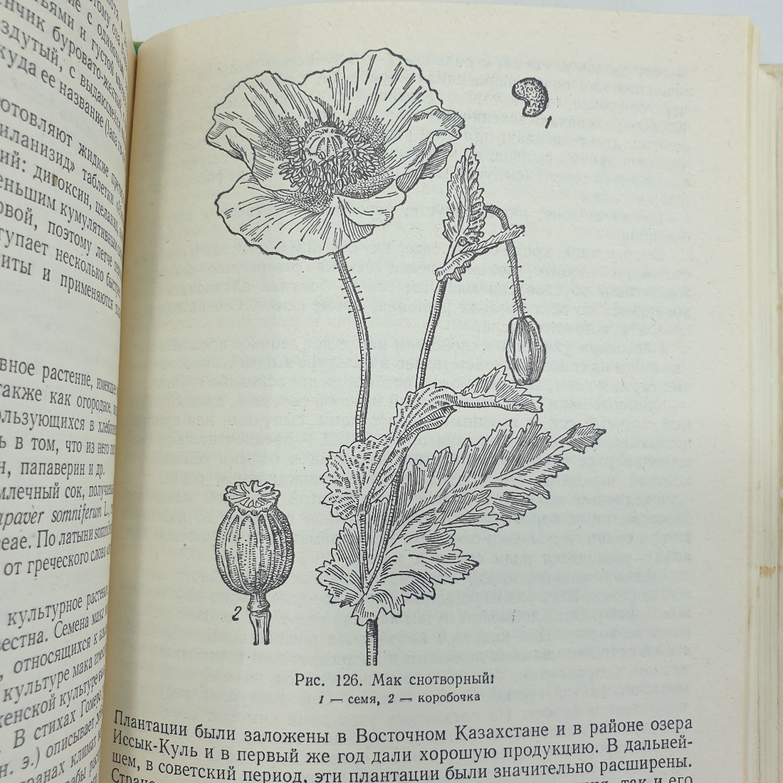 А.Ф. Гаммерман, Г.Н. Кадаев, М.Д. Шупинская, А.А. Яценко-Хмелевский "Лекарственные растения", 1975г.. Картинка 13