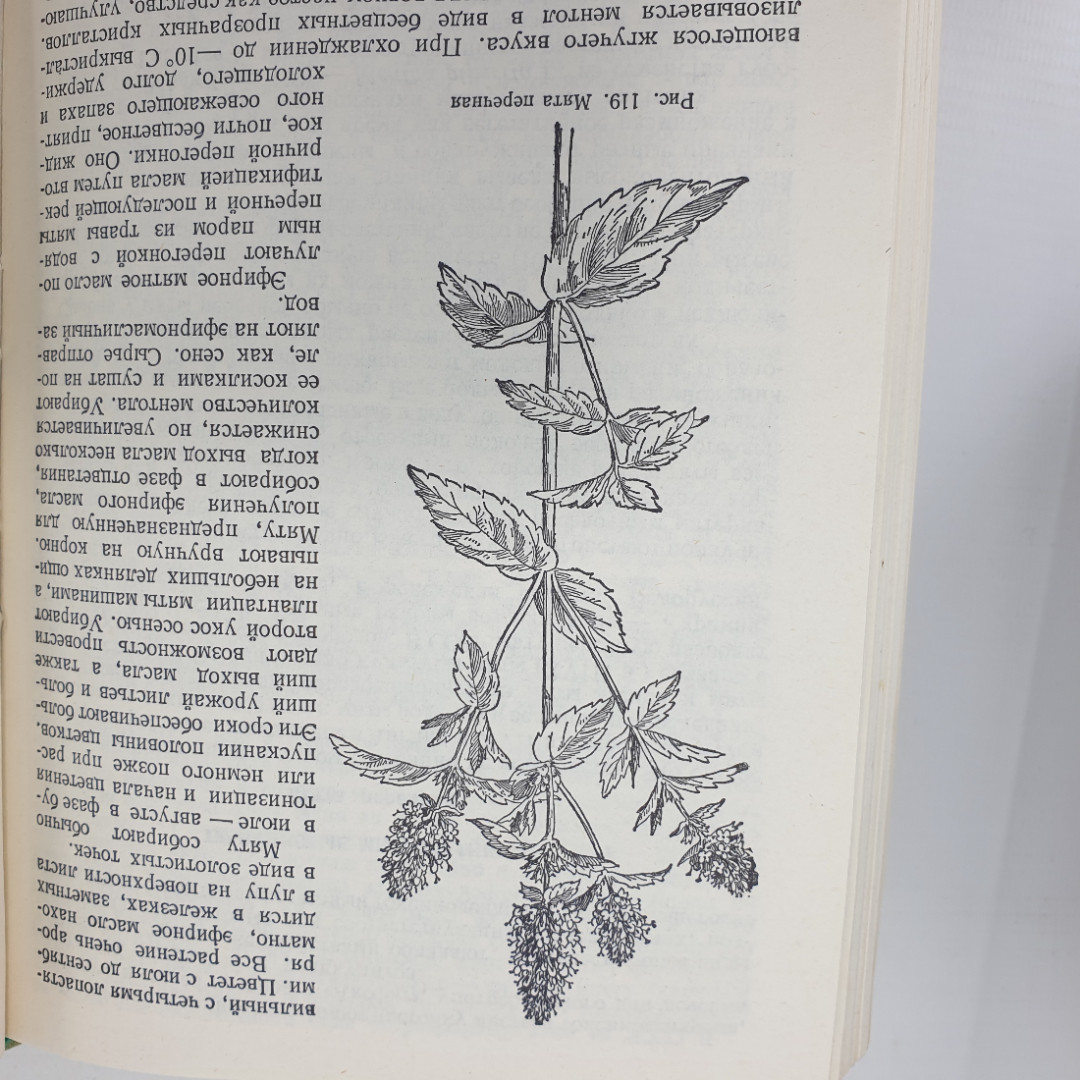 А.Ф. Гаммерман, Г.Н. Кадаев, М.Д. Шупинская, А.А. Яценко-Хмелевский "Лекарственные растения", 1975г.. Картинка 14