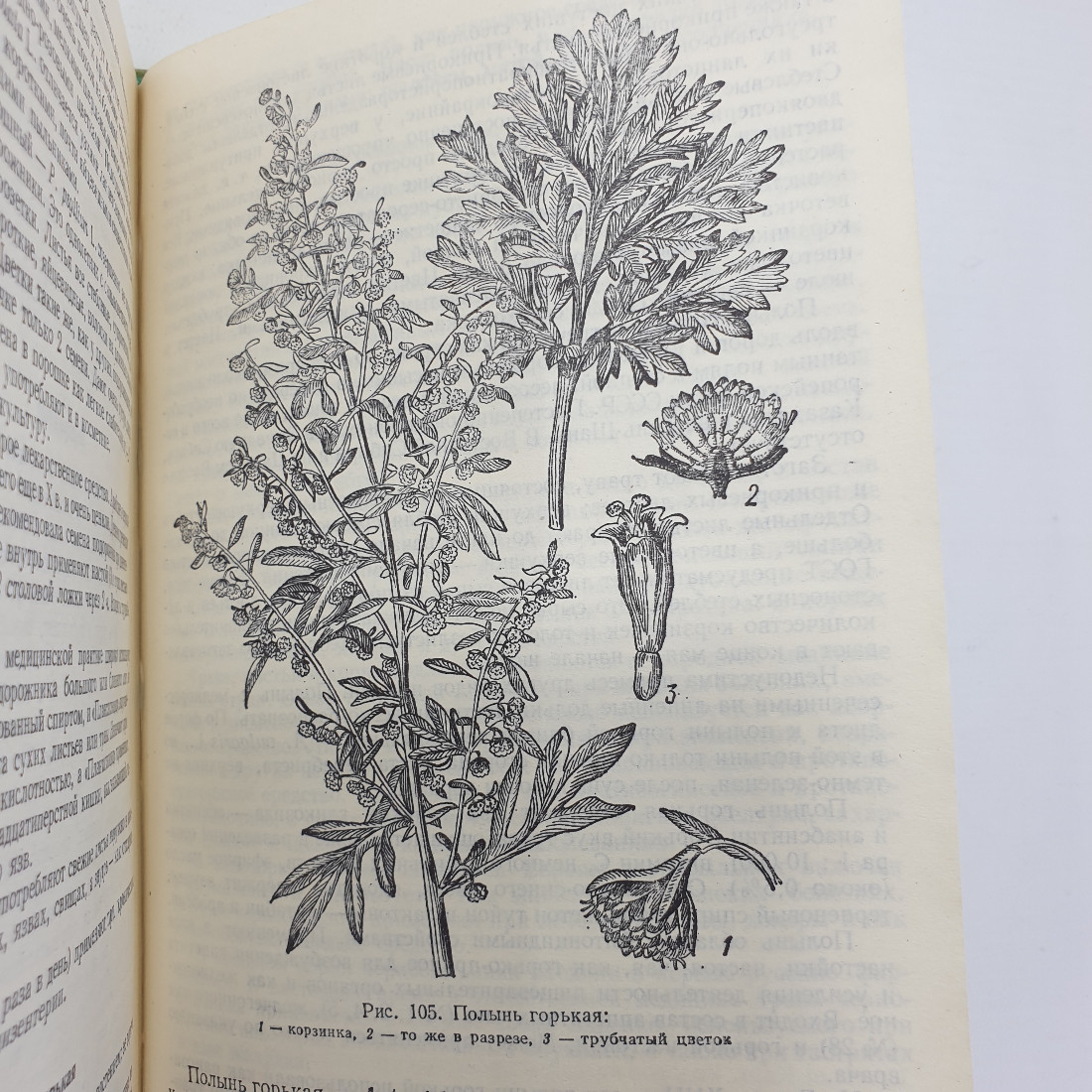 А.Ф. Гаммерман, Г.Н. Кадаев, М.Д. Шупинская, А.А. Яценко-Хмелевский "Лекарственные растения", 1975г.. Картинка 15