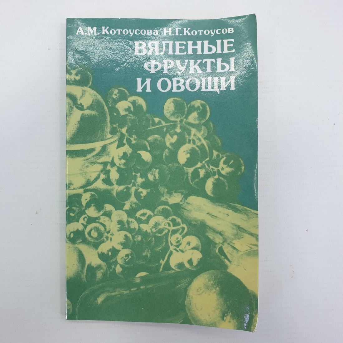 А.М. Котоусова, Н.Г. Котоусов "Вяленые фрукты и овощи", Росагропромиздат, 1989г.. Картинка 1