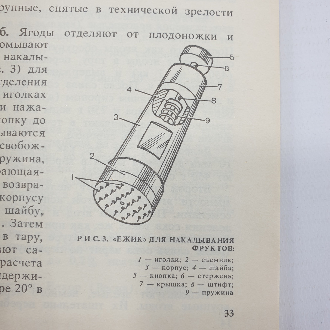 А.М. Котоусова, Н.Г. Котоусов "Вяленые фрукты и овощи", Росагропромиздат, 1989г.. Картинка 5