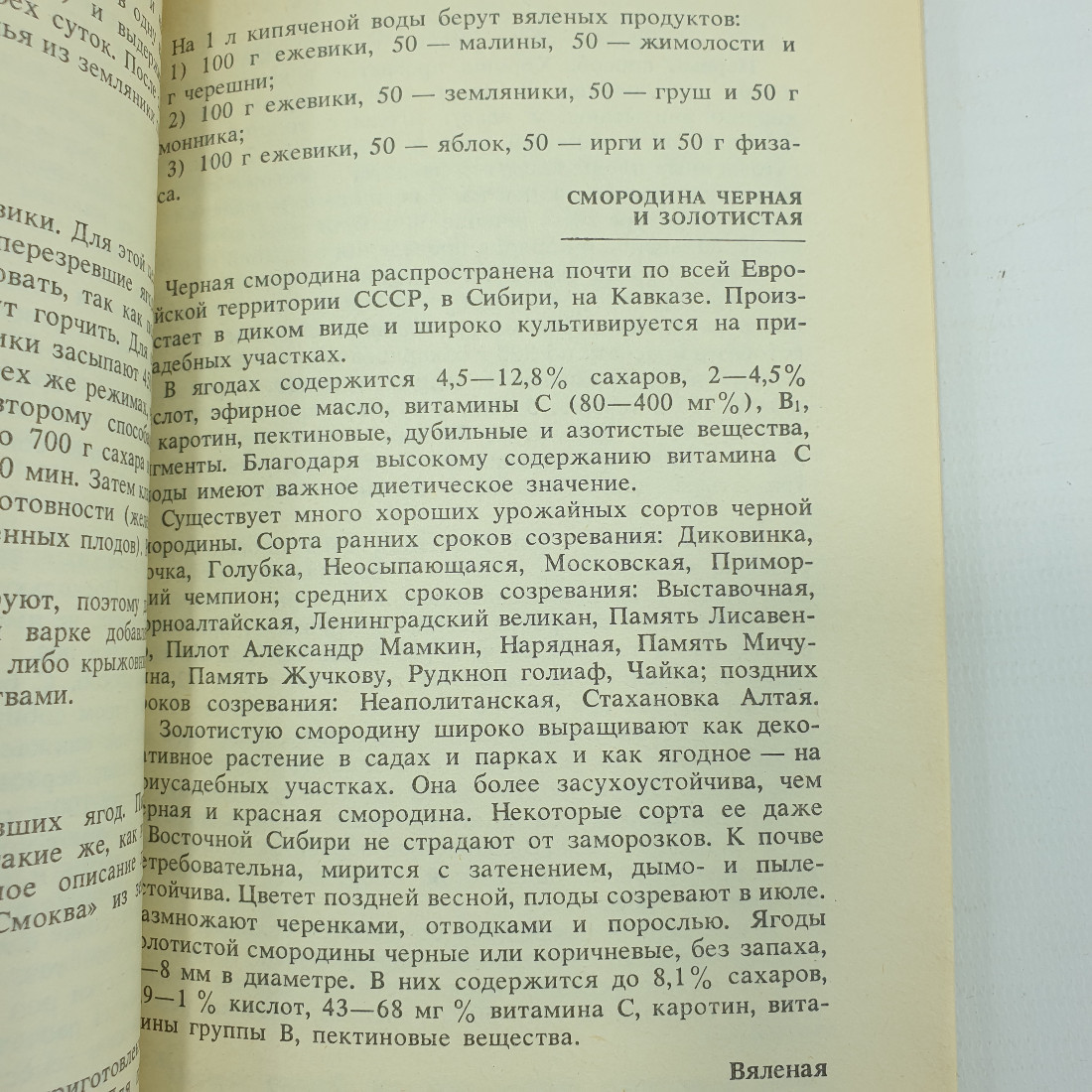 А.М. Котоусова, Н.Г. Котоусов "Вяленые фрукты и овощи", Росагропромиздат, 1989г.. Картинка 6