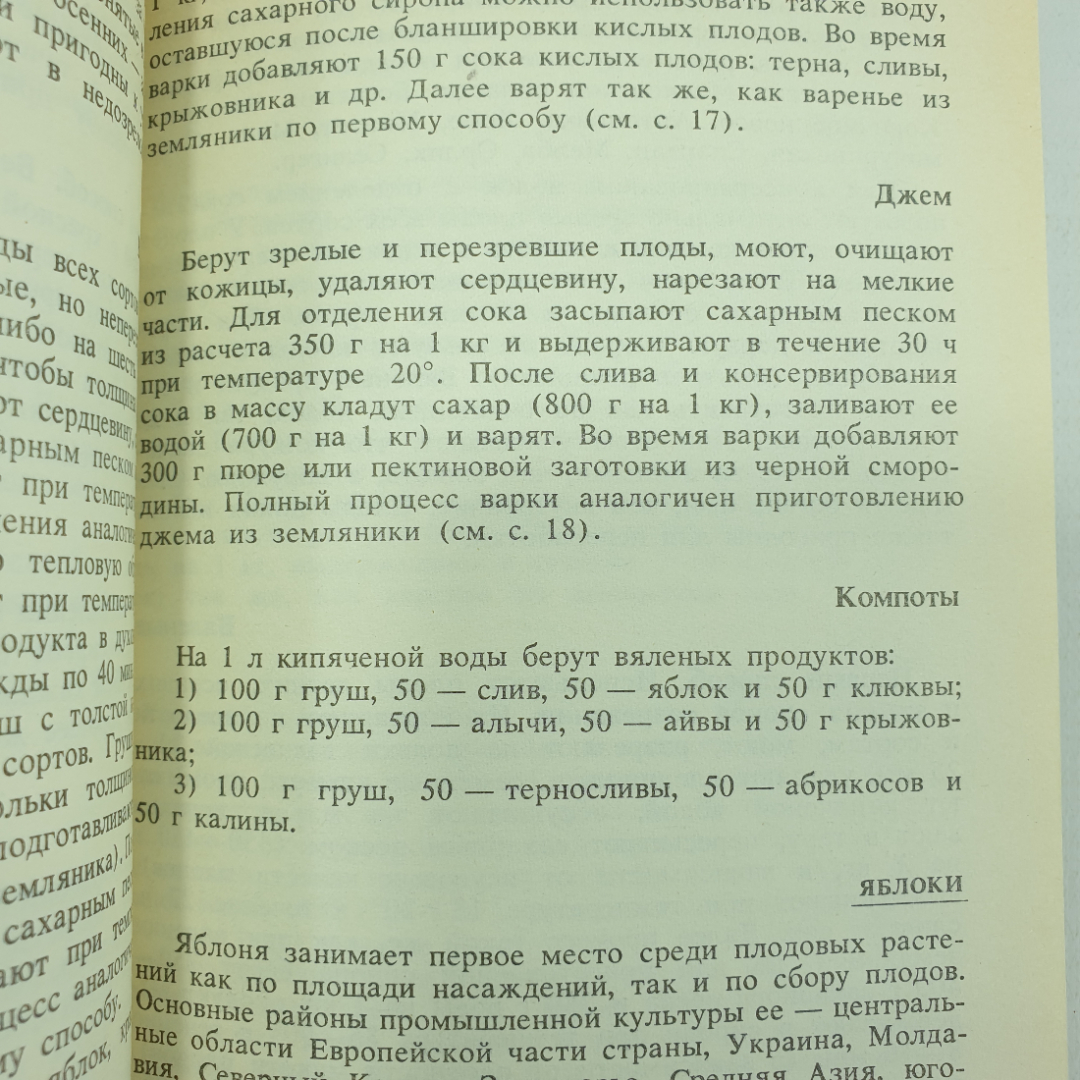 А.М. Котоусова, Н.Г. Котоусов "Вяленые фрукты и овощи", Росагропромиздат, 1989г.. Картинка 7