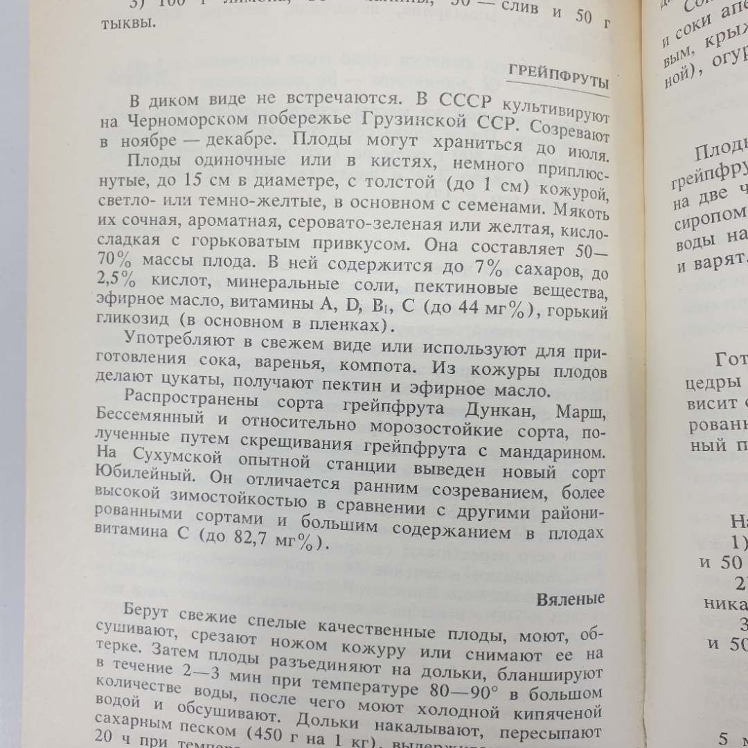 А.М. Котоусова, Н.Г. Котоусов "Вяленые фрукты и овощи", Росагропромиздат, 1989г.. Картинка 8