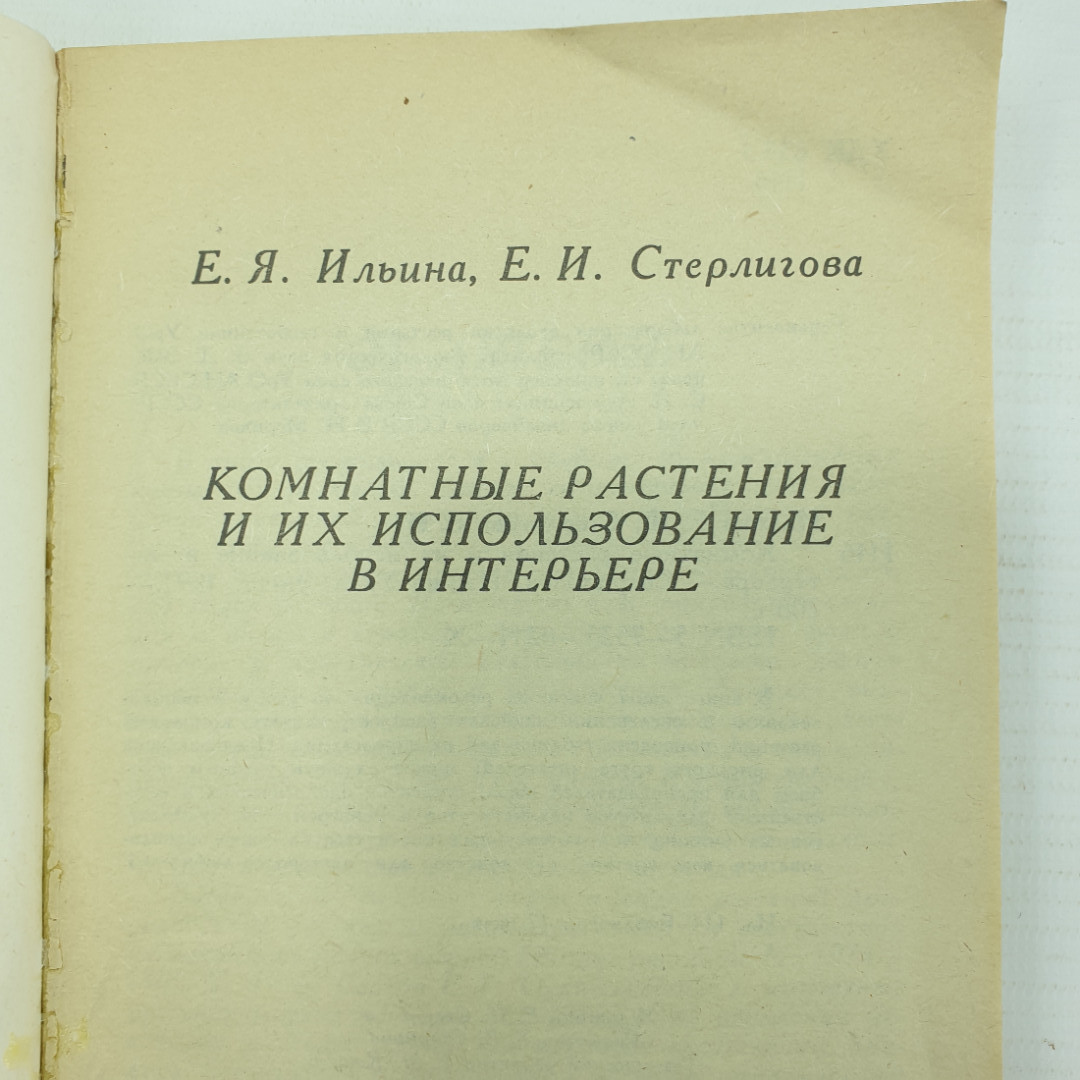 Е.Я. Ильина, Е.И. Стерлигова "Комнатные растения и их использование в интерьере", 1991г.. Картинка 5