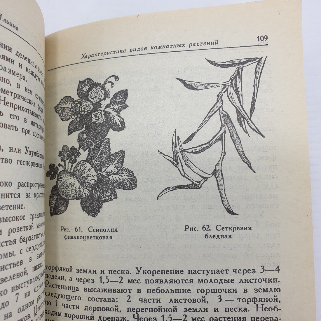 Е.Я. Ильина, Е.И. Стерлигова "Комнатные растения и их использование в интерьере", 1991г.. Картинка 14