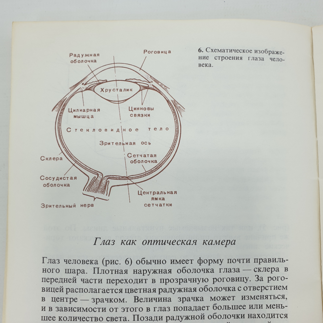 Э.С. Аветисов, Ю.З. Розенблюм "Об очках", Москва, издательство Медицина, 1973г.. Картинка 10