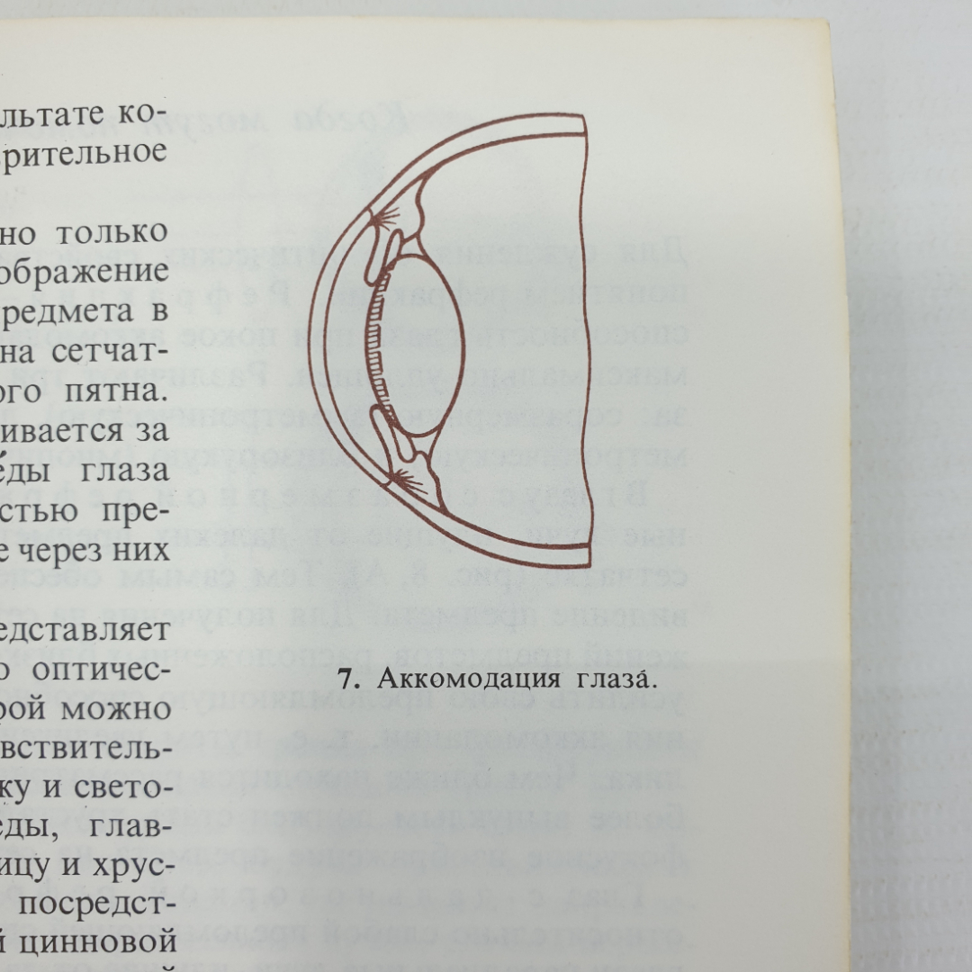 Э.С. Аветисов, Ю.З. Розенблюм "Об очках", Москва, издательство Медицина, 1973г.. Картинка 11