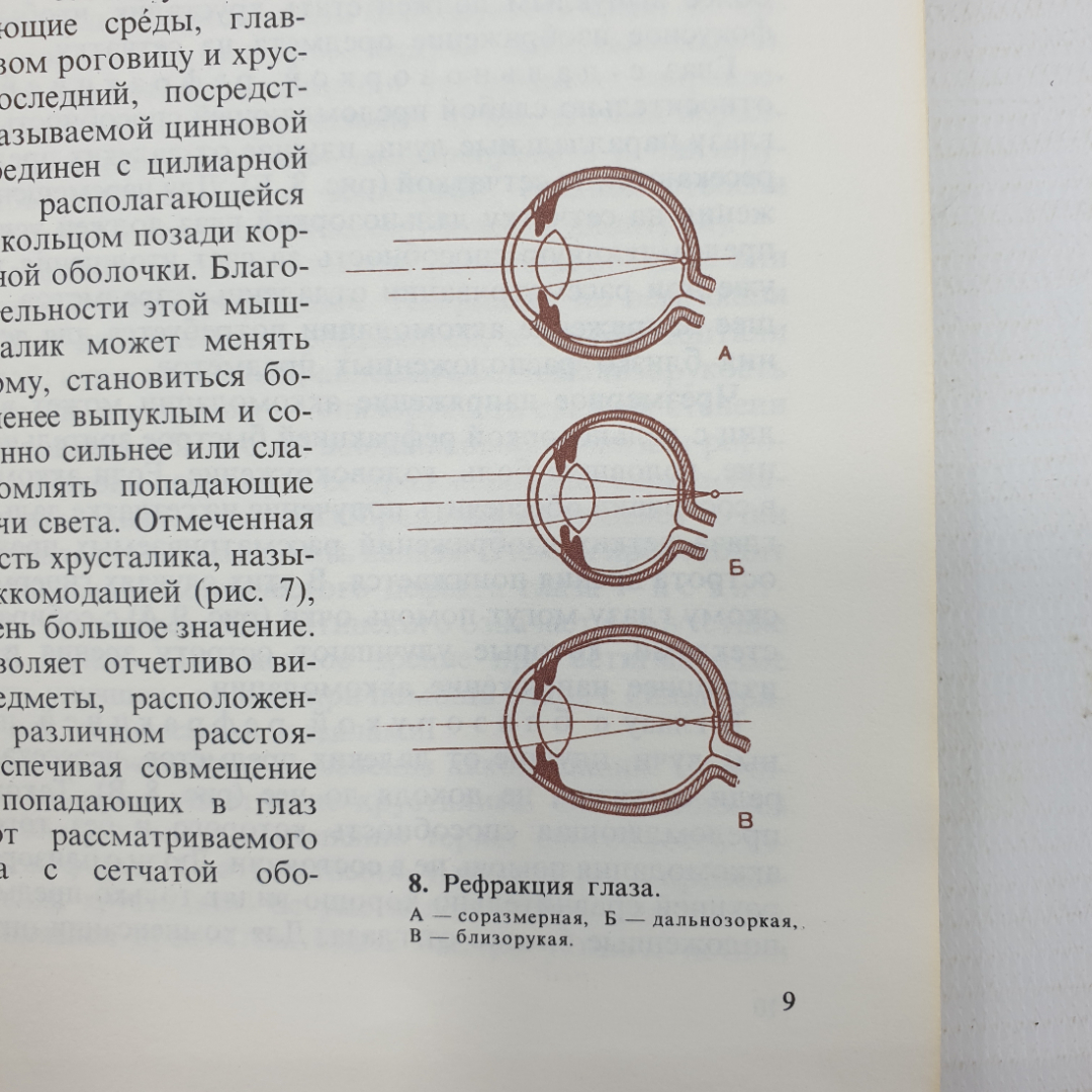 Э.С. Аветисов, Ю.З. Розенблюм "Об очках", Москва, издательство Медицина, 1973г.. Картинка 12