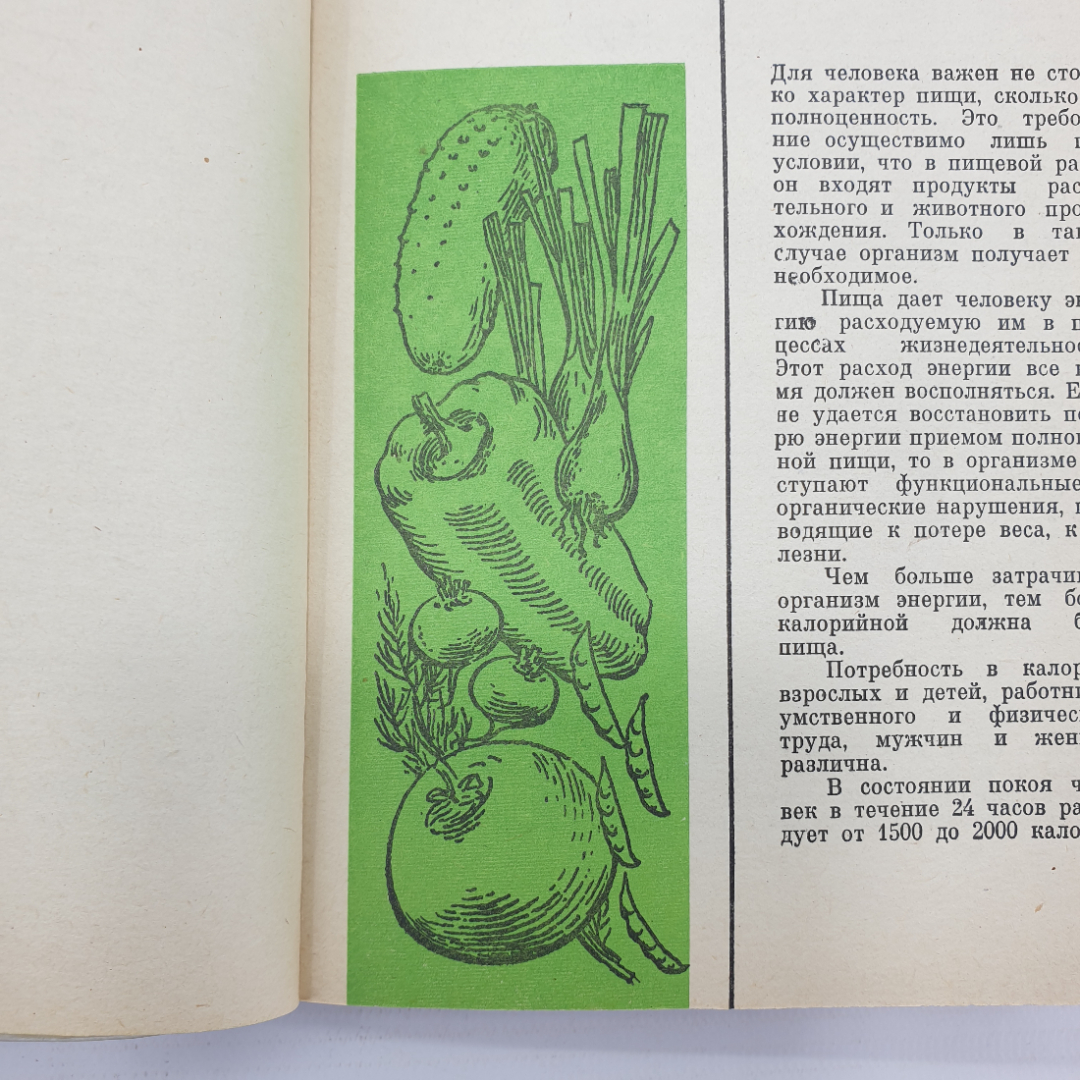 Э. Вилох "Овощи всегда полезны" в переводе с немецкого, Пищевая промышленность, 1974г.. Картинка 5
