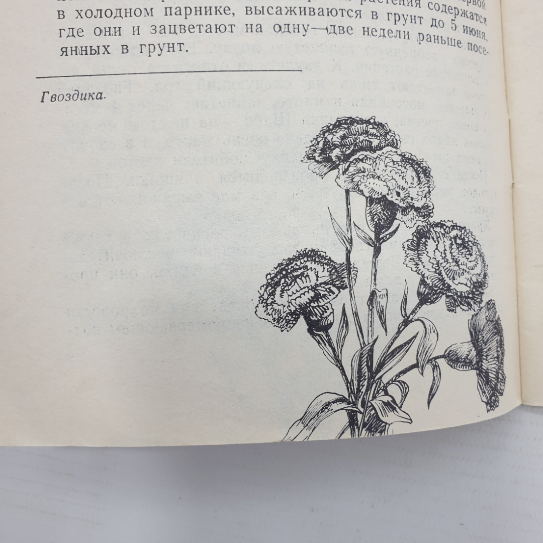 Б. Сулимов "Цветы и кустарники в грунте и комнате", Приокское книжное издательство, 1971г.. Картинка 9