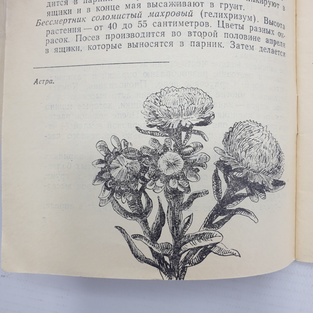 Б. Сулимов "Цветы и кустарники в грунте и комнате", Приокское книжное издательство, 1971г.. Картинка 10