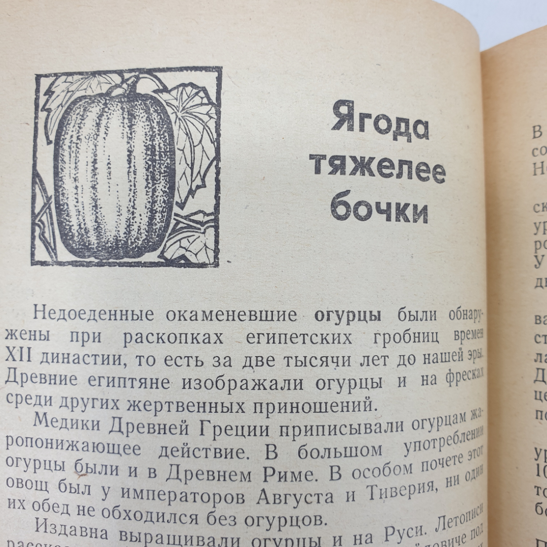 Б. Александров "Зеленые спутники", издательство Московский рабочий, 1969г.. Картинка 12