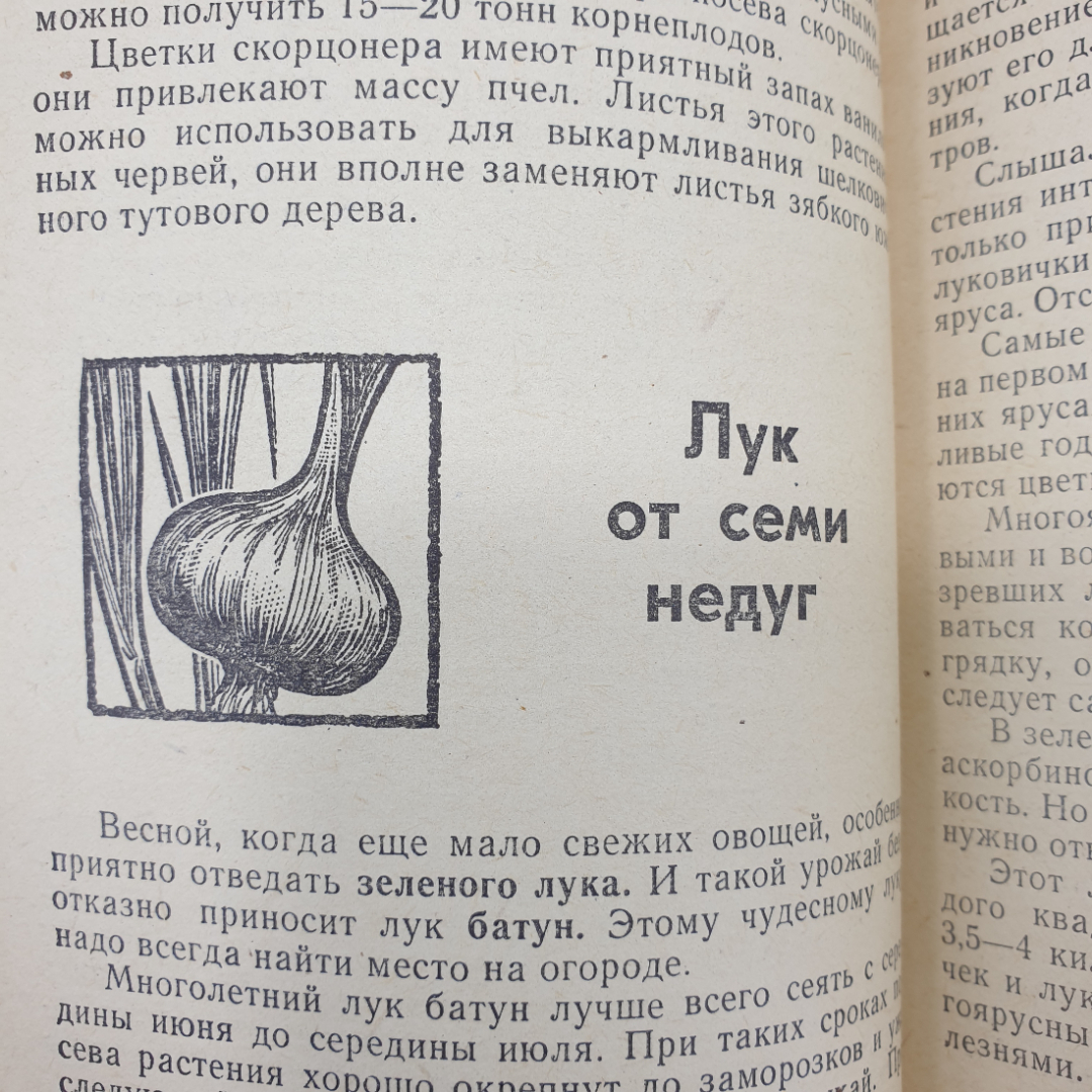 Б. Александров "Зеленые спутники", издательство Московский рабочий, 1969г.. Картинка 13