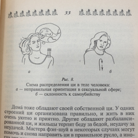 А. Семенова "Дом и его тайные силы. Как управлять энергетикой своего дома", Санкт-Петербург, 2000г.. Картинка 13