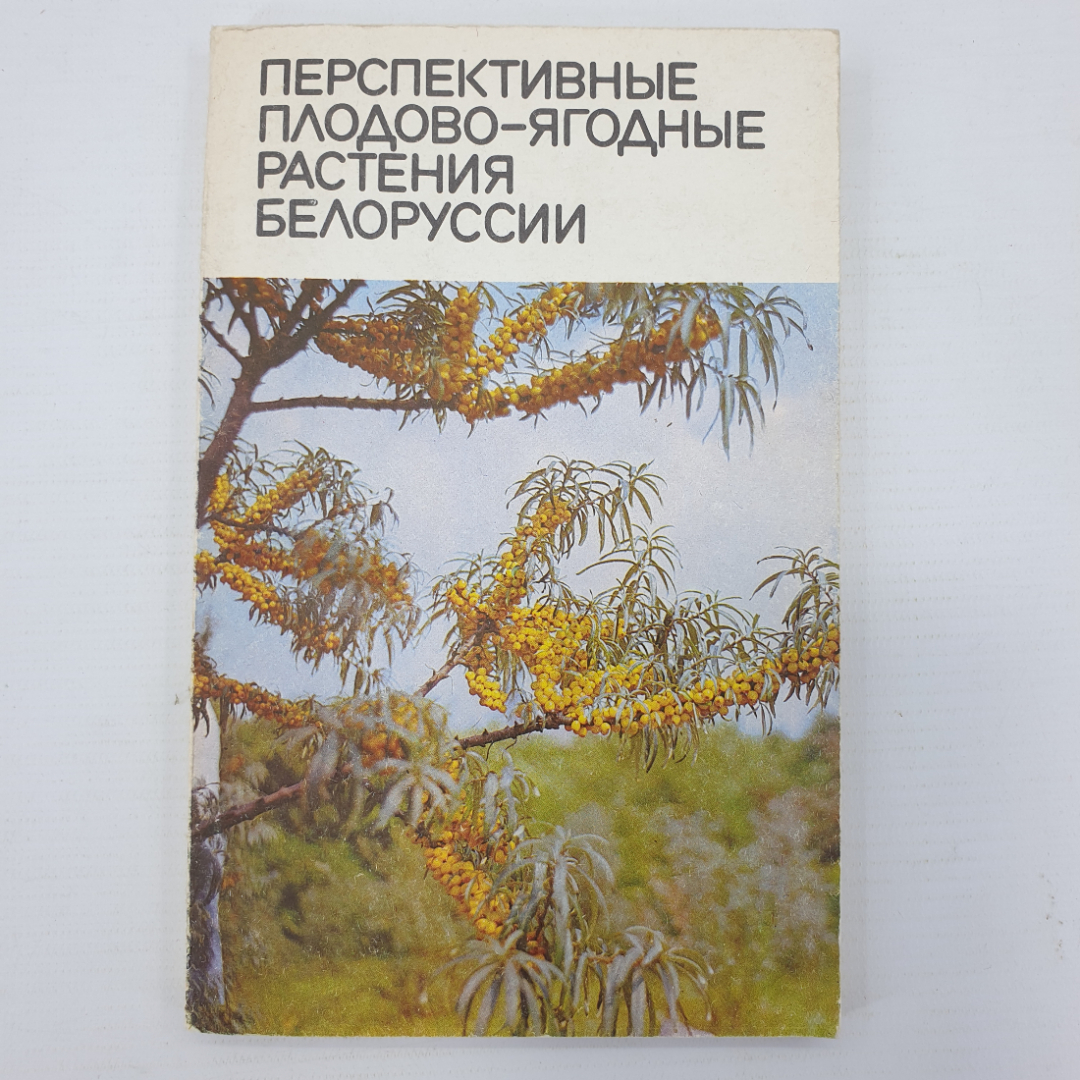 А.А. Чаховский, Д.К. Шапиро и др. "Перспективные плодово-ягодные растения Беларуси", Минск, 1986г.. Картинка 1