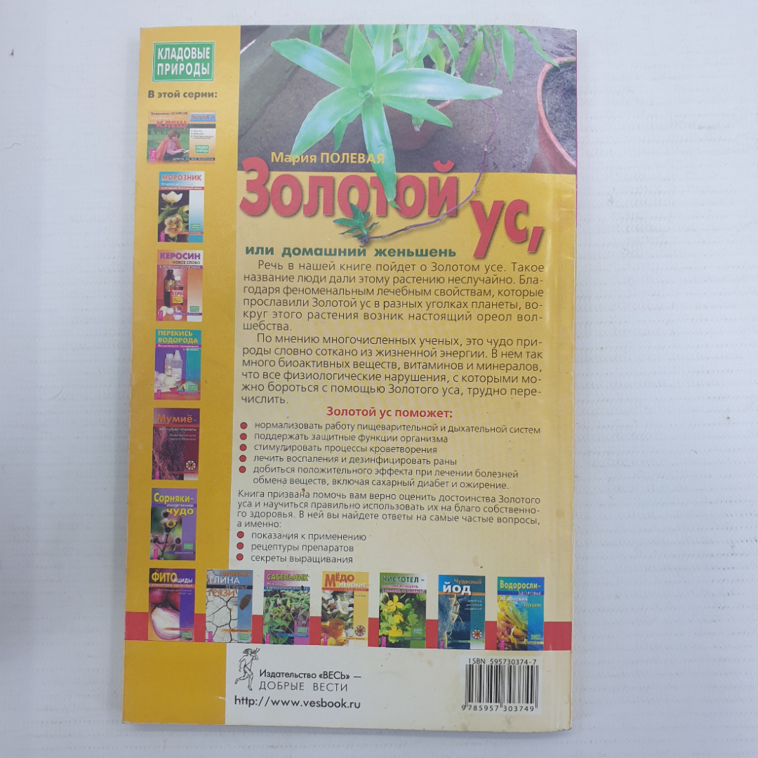 М. Полевая "Золотой ус, или домашний женьшень", Санкт-Петербург, 2004г.. Картинка 2